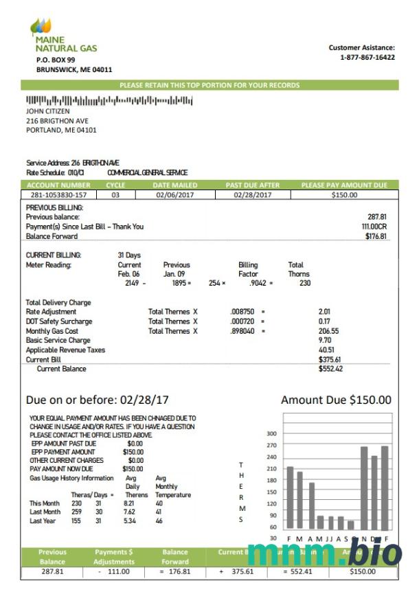 USA Maine gaz ziemny Portland szablon rachunku za media w formacie Word i PDF